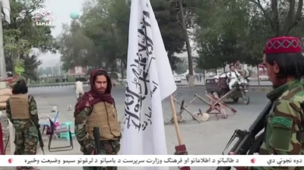 واکنش سازمان ملل به حمله تروریستی مسجد گازرگاه هرات