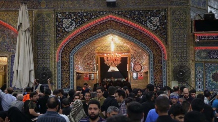 Ərbəin zəvvarları İmam Əli(ə)-ın hərəmində geniş iştirak edirlər