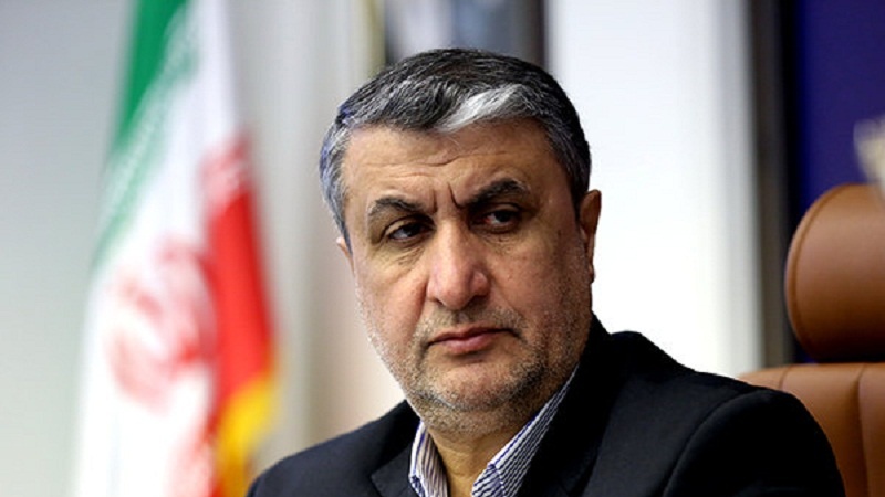  ایران کے جوہری توانائی کے ادارے کے سربراہ ویانا پہنچ گئے