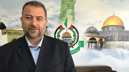 حماس کے نائب سربراہ کی شہادت پردنیا کے مختلف ملکوں کے استقامتی محاذ کا شدید ردعمل