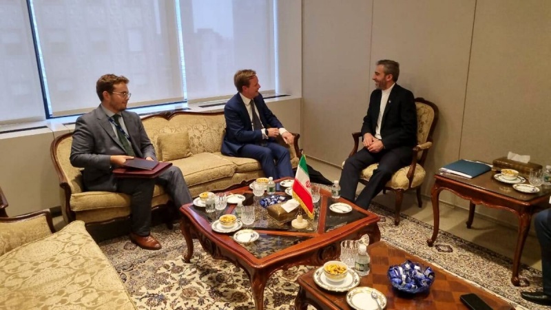 ایرانی  مذاکرات کار علی باقری کی نیویارک میں مختلف ممالک کے نمائندوں سے ملاقات