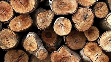 Zbog energetske krize, drvni sortimenti svih kvaliteta iz BiH se izvoze kao ogrjev