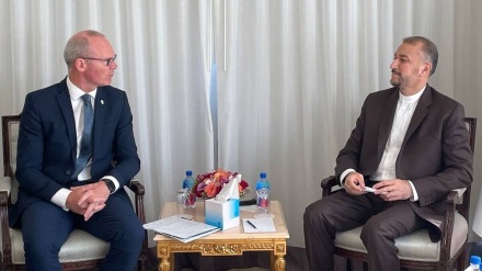 ایران اور آئرلینڈ کے وزرائے خارجہ کی ایٹمی معاہدے کے حوالے سے گفتگو