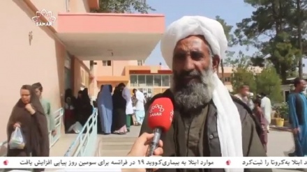 سفر سرپرست وزارت صحت طالبان به هرات