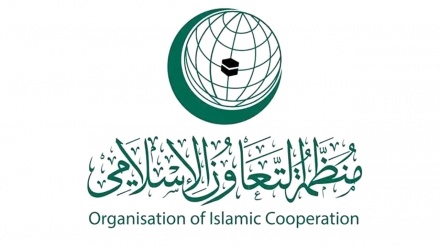 فلسطین میں حالات کشیدہ، اسلامی تعاون تنظیم کا ہنگامی اجلاس بلانے پرعالم اسلام متحد