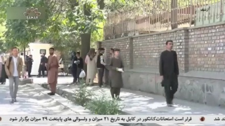  د هېواد په ٣٣ ولایتونو کې د کانکور واخیستل شوه.