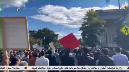 د هزاره وژنې پر ضد د نړۍ ګڼ شمېر هېوادونو کې لاریونونه شوي.