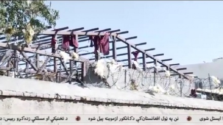 د افغان هزاره ګانو پر پلوۍ د کوېټې هزاره ګانو لاریون وکړ.