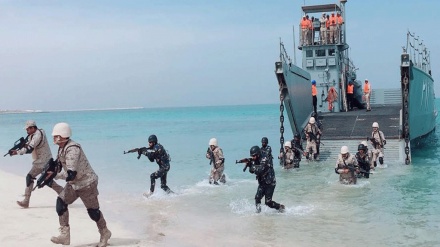 پاکستان اور متحدہ عرب امارات کی مشترکہ بحری فوجی مشقوں کا اختتام