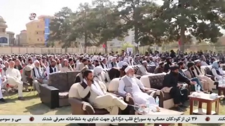 تجلیل روز معلم در بلخ