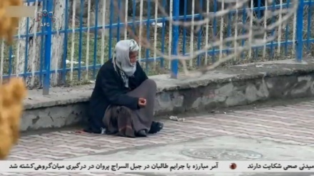  امیرخان متقی 