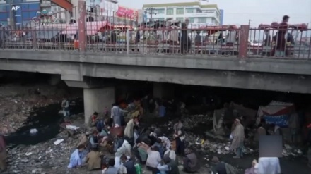  جمع آوری بیش از 9500 گدا از سطح شهر