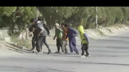په افغانستان کې د ناچاوده ماینونو په اړه لاهم اندېښنې شته