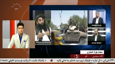 مجاهد از سیاستهای فعلی امریکا در قبال افغانستان انتقاد کرد