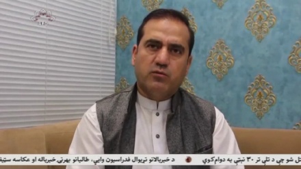 گلایه چاپخانه های هرات از کم رونقی