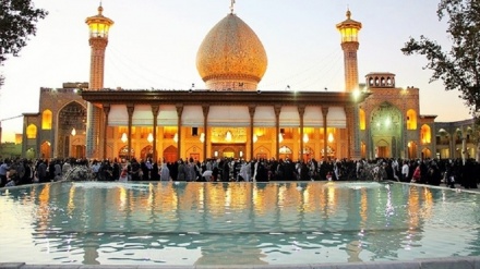 شورای علمای شیعه افغانستان حمله تروریستی در «شاهچراغ» را محکوم کرد