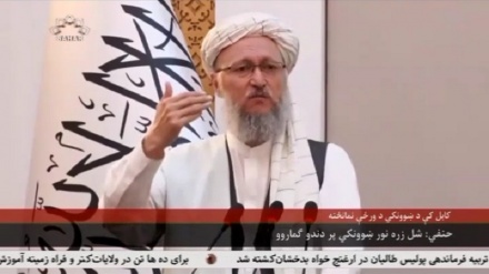 شل زره ښوونکي پر دندو ګومارل کیږي.