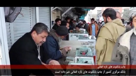 بانکنوت های جدید افغانی بزودی چاپ می شوند 