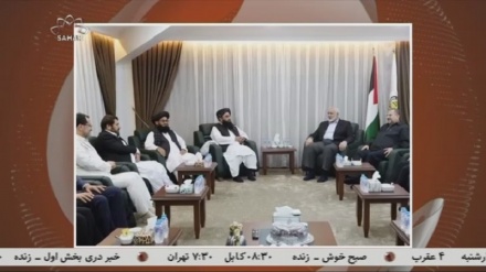 تاکید مجاهد بر حمایت از مردم فلسطین