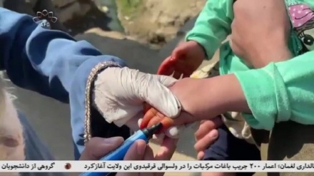 دوه ویشت ولایتونو کې د پولیو د واکسین تطبیق کولو کمپاین پیل شو