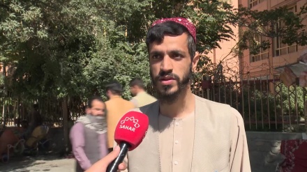 مردم از کابل جان در مورد هفته وحدت میگن