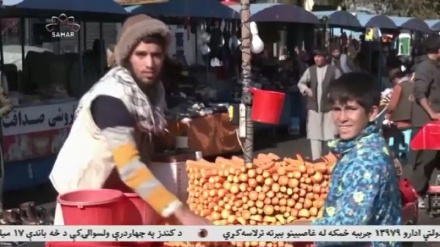 جریانهای سیاسی باید برای منافع افغانستان گرد هم جمع شوند