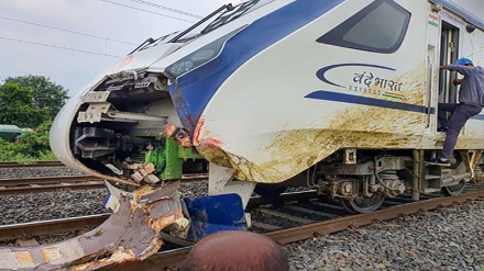  ہندوستان میں ٹرین اور بھینسوں میں تصادم 