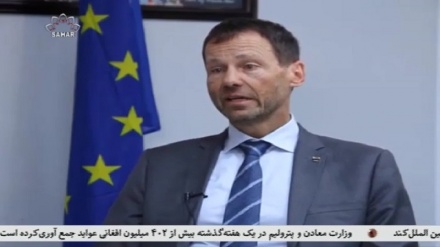 نیکلسون: طالبان برای جلب اعتماد جهان تلاش کند