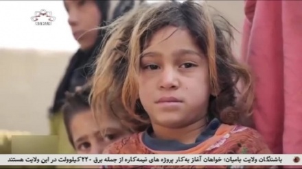 واکنشها به حمله تروریستی به آموزشگاه کاج