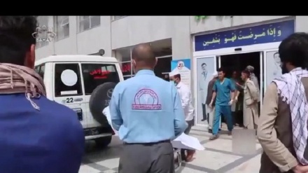 د اروپایي ټولنې ځانګړي استازي له امیرخان متقي سره کتلي. 