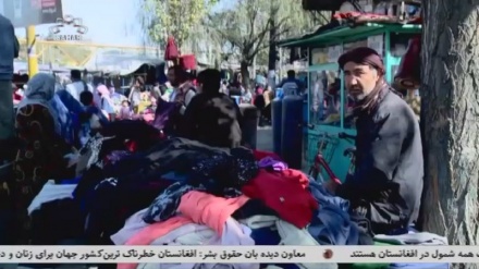 حدود 80 درصد خانواده ها با کمبود مواد سوختی مواجه اند