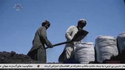 پاکستان در صدد وارد کردن زغال سنگ از افغانستان 