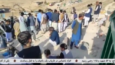 دو عضو ارشد شورای مقاومت ملی با رهبر جریان حکومت ملی عراق دیدار کردند