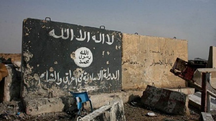 دەستگیرکرانی ١١ تیرۆریستی داعش لە باکووری سوریا