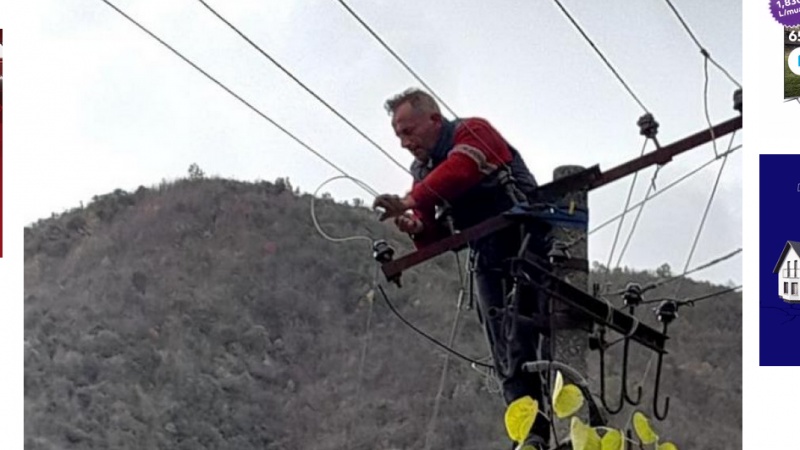 Fier, probleme furnizimi me energji në disa fshatra, shkak pemët e rrëzuara 