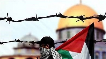 امریکہ میں بھی بڑھ رہی ہے فلسطینیوں کی حمایت