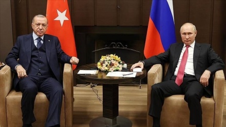 Erdogan i Putin telefonski razgovarali o posljednjim dešavanjima u Ukrajini