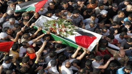 مزید 2 فلسطینی نوجوانوں کی شہادت، 48 گھنٹے میں شہدا کی تعداد 8 ہو گئی