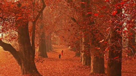 Ljepote jeseni u Kašmiru