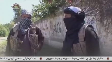 دولت اوباما؛ حامی داعش و القاعده