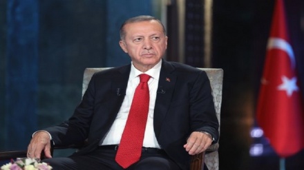 اردوغان نے ملک کی سفارتکاری کی تعریف کی