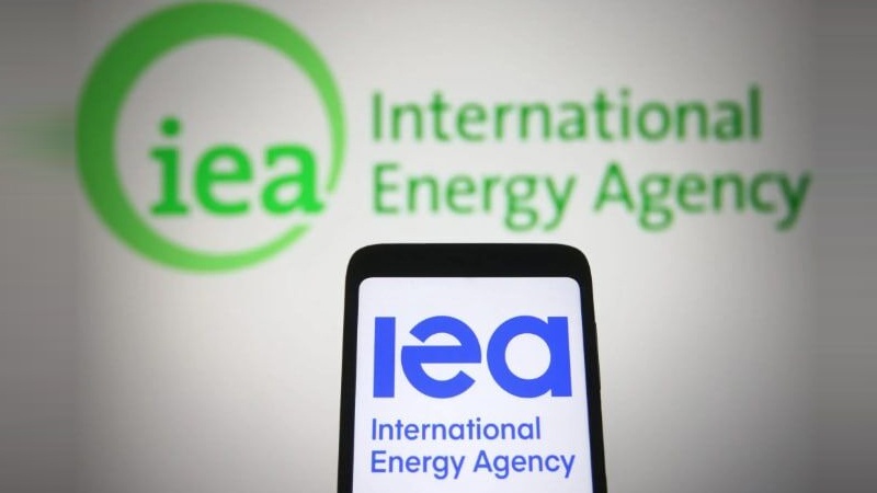 Beynəlxalq Enerji Agentliyi Rusiyaya qarşı sanksiyaların nəticələri ilə bağlı xəbərdarlıq edib