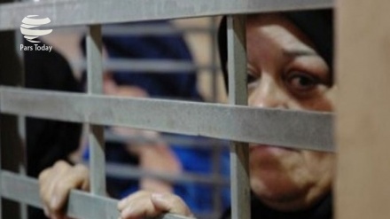 595 palestinezë u kapën nga sionistët në muajin tetor