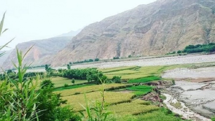 د کندهار د سپین بولدک ولسوالۍ پیژندنه