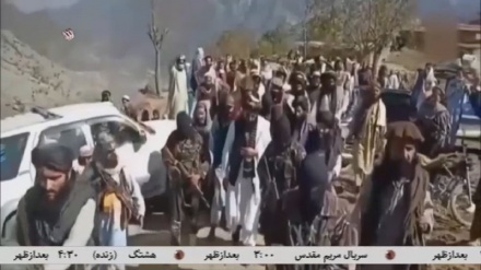 نیروهای پاکستان توسط سلاحهای امریکایی در افغانستان کشته میشوند 