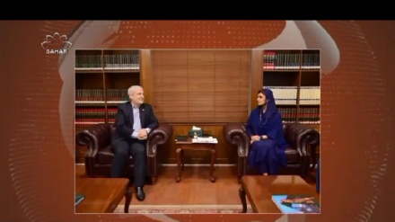 حسن کاظمی و حنا ربانی مشاور وزیر امور خارجه ی پاکستان با هم دیدار کردن