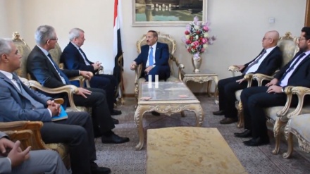 یمنی وزیر خارجہ اور یونیسف کے نمائندے کی صنعا میں ملاقات