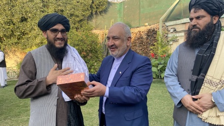 والی ننگرهار: ایران و افغانستان مشترکات فرهنگی بسیاری دارند