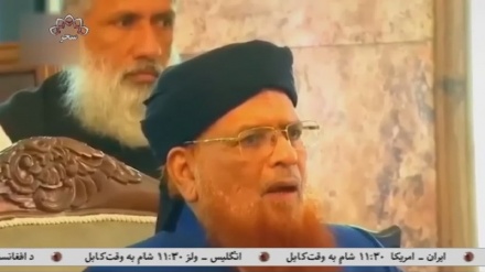 تحریک طالبان پاکستانی به جنگ با ارتش پاکستان پایان داد 