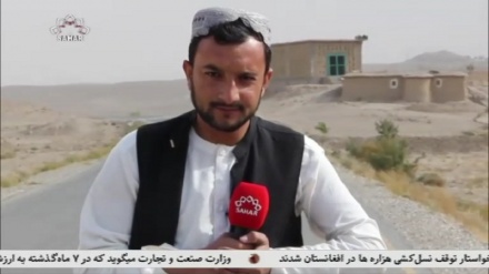 کشت محصولات زراعتی بجای خشخاش در قندهار 